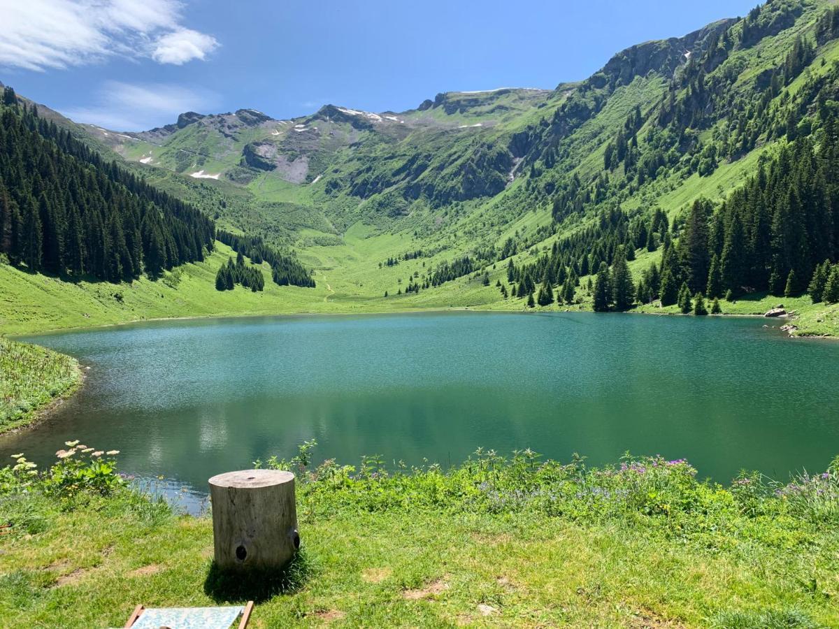 Chalet Esprit Morillon Kültér fotó